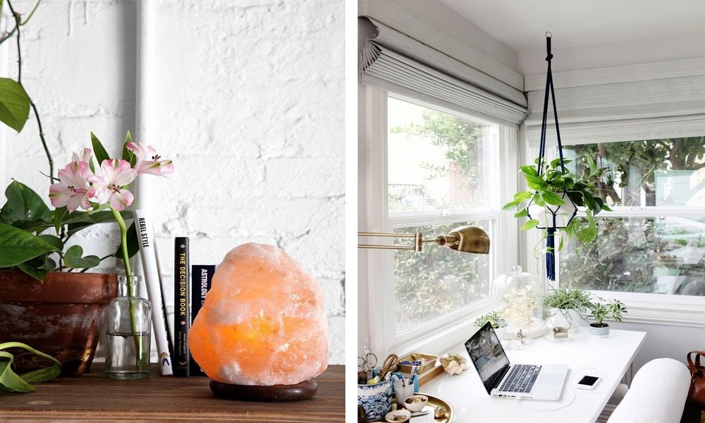 Light Plants | Home Office