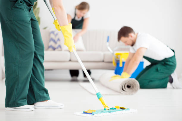 Elevating Home Sanctuaries: The Art Of Professional House Cleaning In Singapore